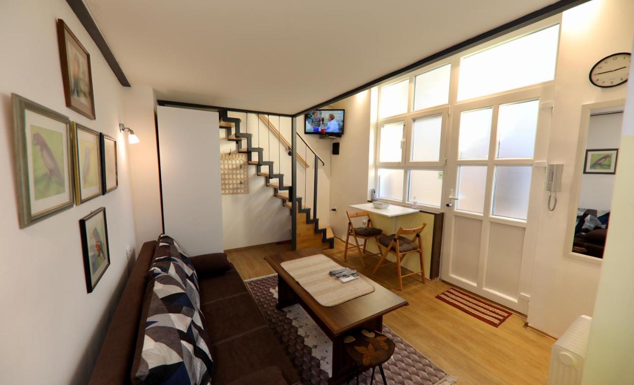 Central Ant Apartment Belgrad Dış mekan fotoğraf